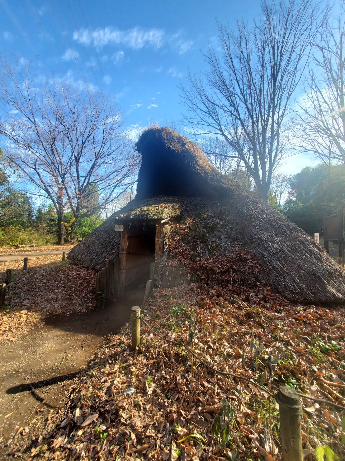 ギャラリーの写真（12枚目）